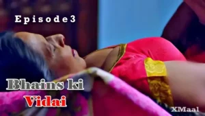 Thumbnail and Poster of the Bhains Ki Vidai Episode 3 Video